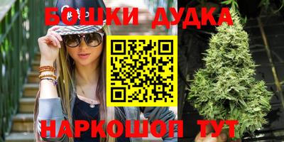 индика Ликино-Дулёво