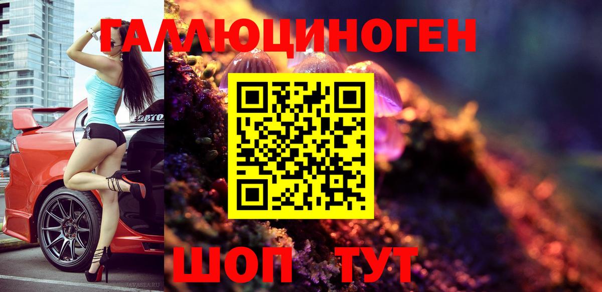 купить закладку  Вход с VPN  Галлюциногенные грибы ЛСД  Екатеринбург  Псилоцибиновые грибы мухоморы 