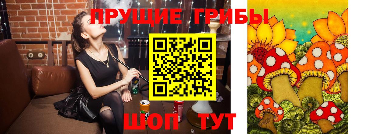 Галлюциногенные грибы Psilocybe Екатеринбург